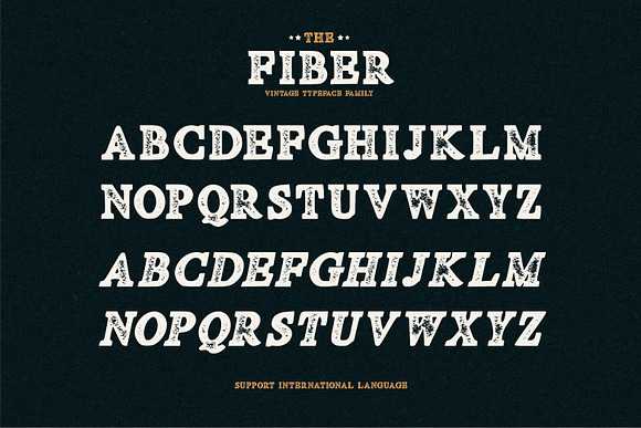 Fiber - Vintage Serif Font in Serif Fonts - product preview 4