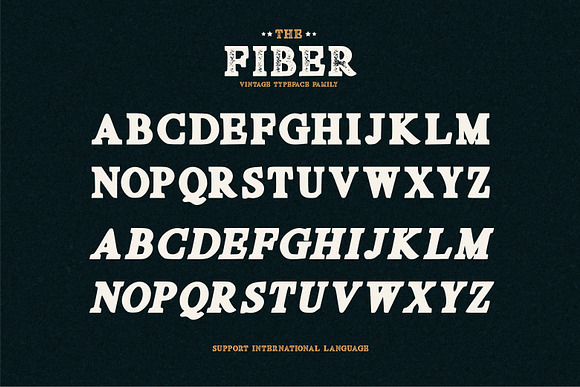 Fiber - Vintage Serif Font in Serif Fonts - product preview 5