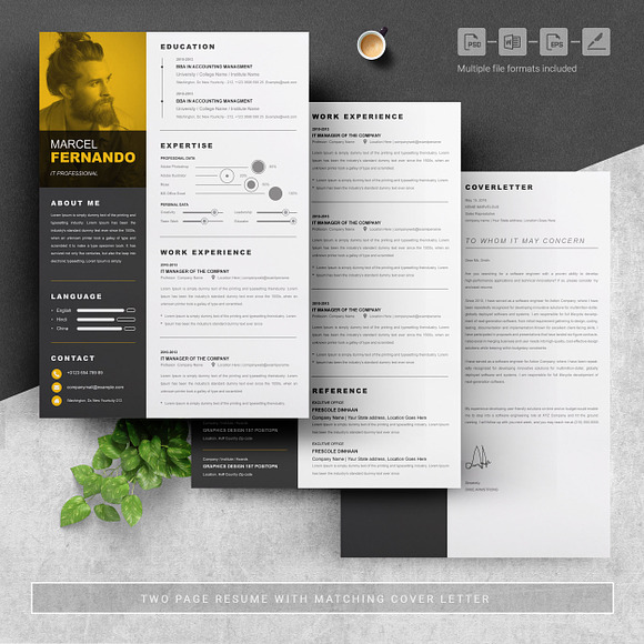 Infographic Word Resume Template in Letter Templates - product preview 3