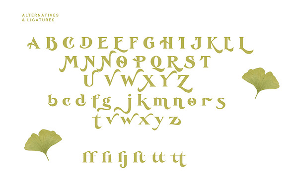 De Ginkgo Font in Serif Fonts - product preview 11