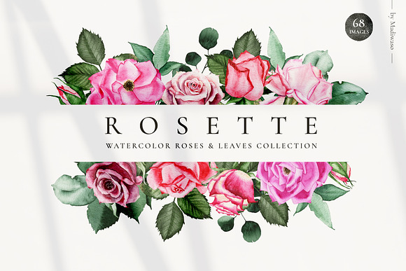 ROSETTE - watercolor roses leaf set in Illustrations - product preview 1