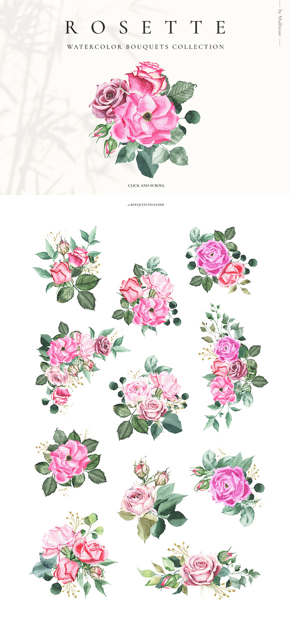 ROSETTE - watercolor roses leaf set in Illustrations - product preview 3