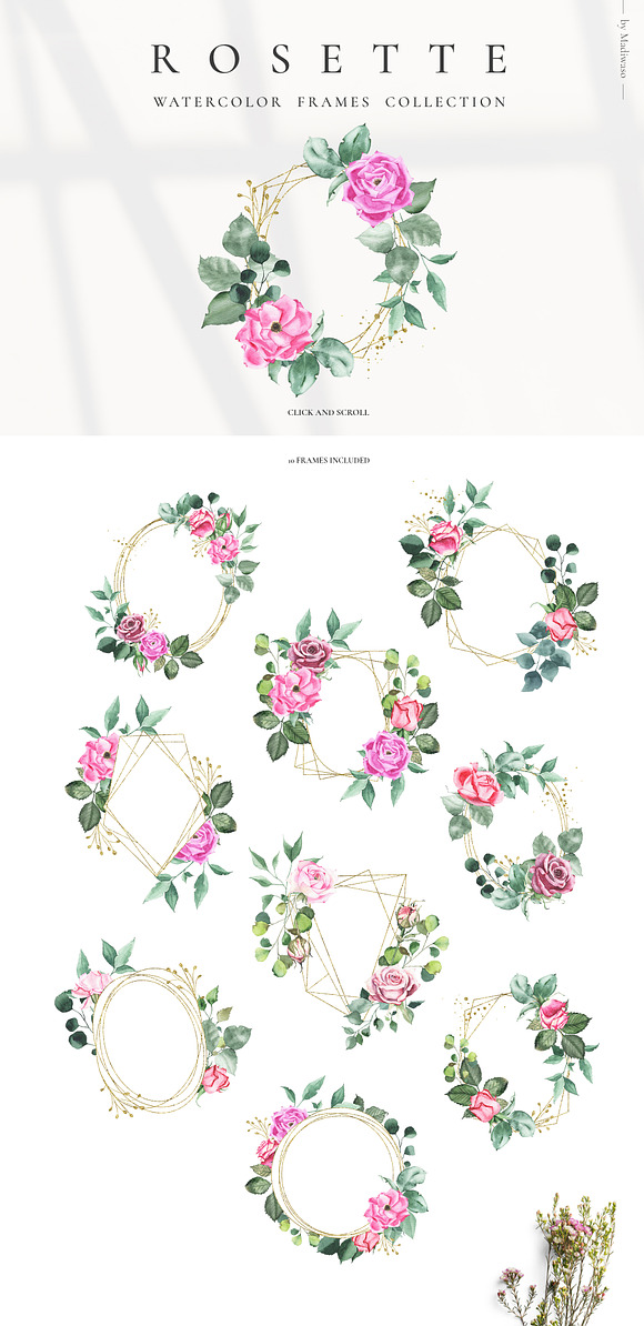 ROSETTE - watercolor roses leaf set in Illustrations - product preview 5