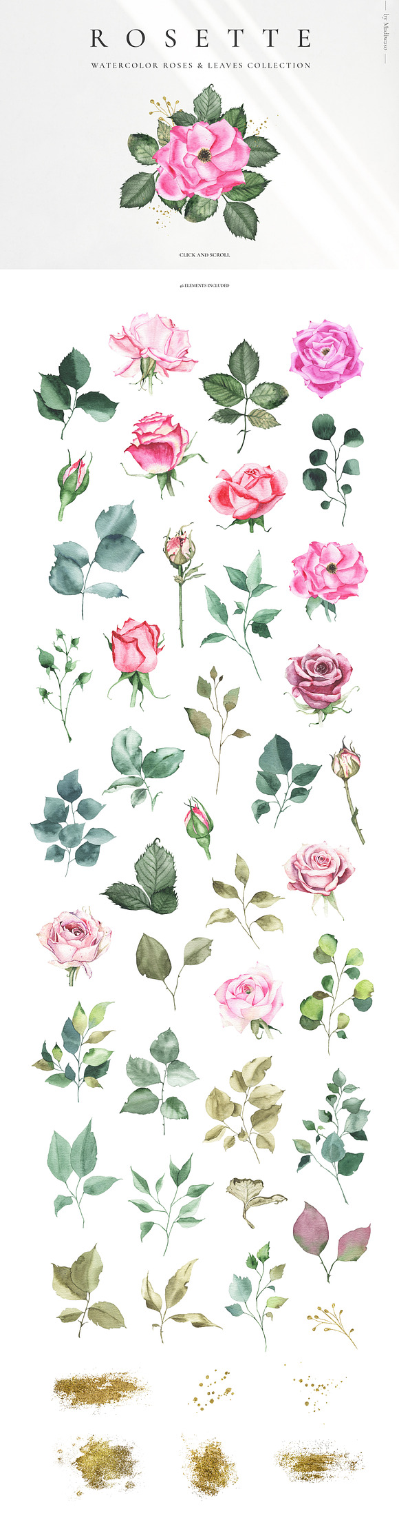ROSETTE - watercolor roses leaf set in Illustrations - product preview 6