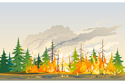 Burning forest nature disaster