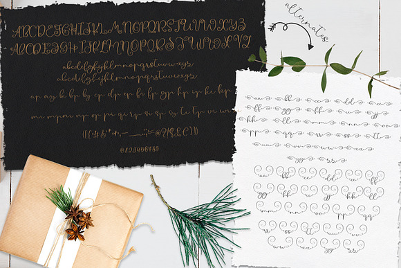 The Big Christmas Collection in Script Fonts - product preview 12