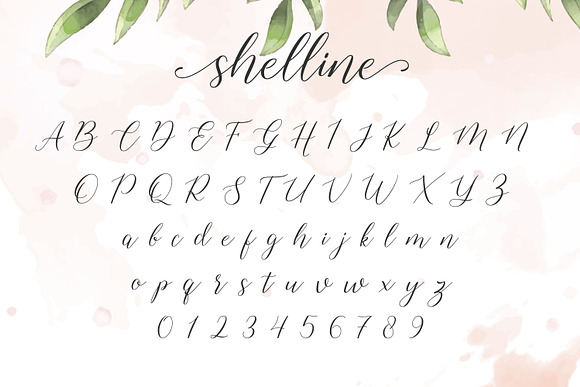 Shelline - Romantic Script in Script Fonts - product preview 3