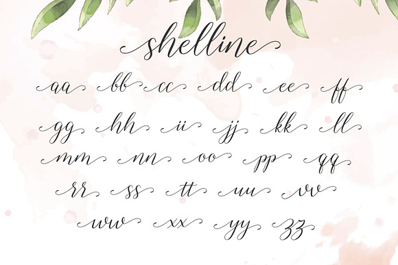 Shelline - Romantic Script in Script Fonts - product preview 4