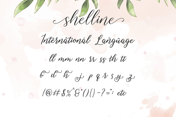 Shelline - Romantic Script in Script Fonts - product preview 5
