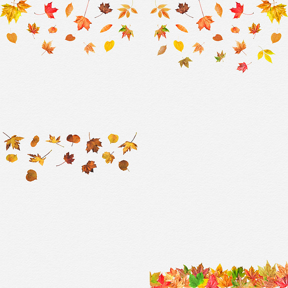 Watercolor Leaves Clipart in Graphics - product preview 2