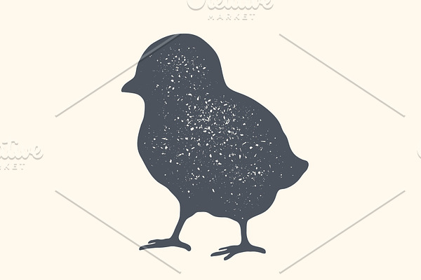Chick, poultry. Vintage logo, retro