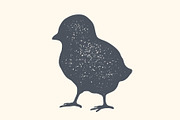 Chick, poultry. Vintage logo, retro