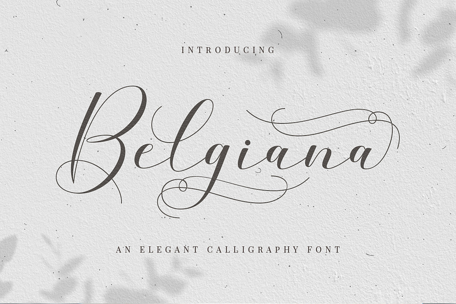 Belgiana Script in Script Fonts - product preview 8