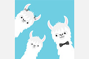Llama alpaca family head face set.