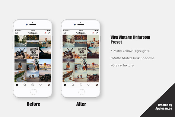 Viva Vintage Lightroom Preset in Add-Ons - product preview 4