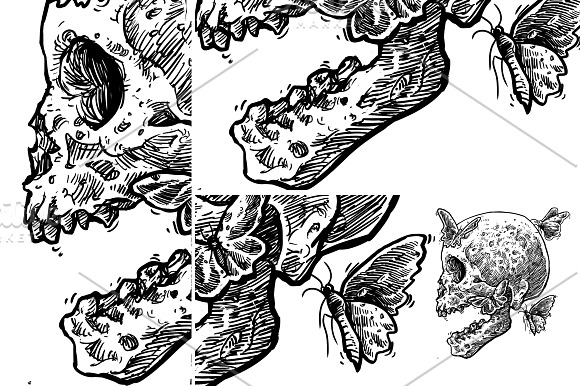 Feather skull butterfly in Illustrations - product preview 3