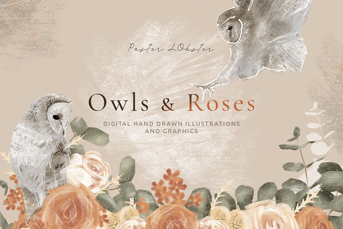 Owls & Roses Hand drawn Graphics in Illustrations - product preview 8