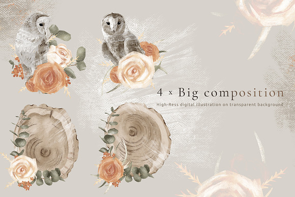 Owls & Roses Hand drawn Graphics in Illustrations - product preview 2