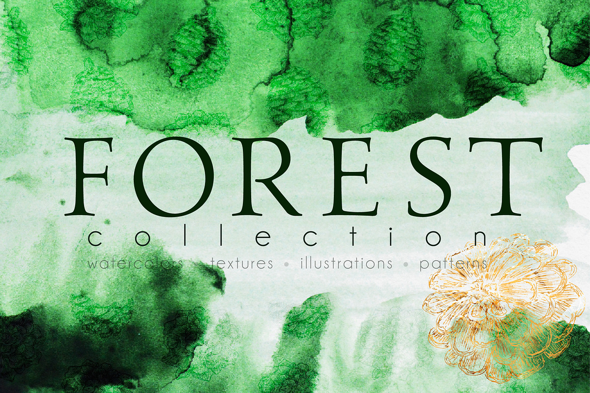 Forest collection in Illustrations - product preview 8