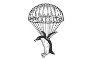 Penguin fly with parachute sketch