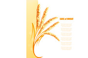 Yellow background with ears of wheat