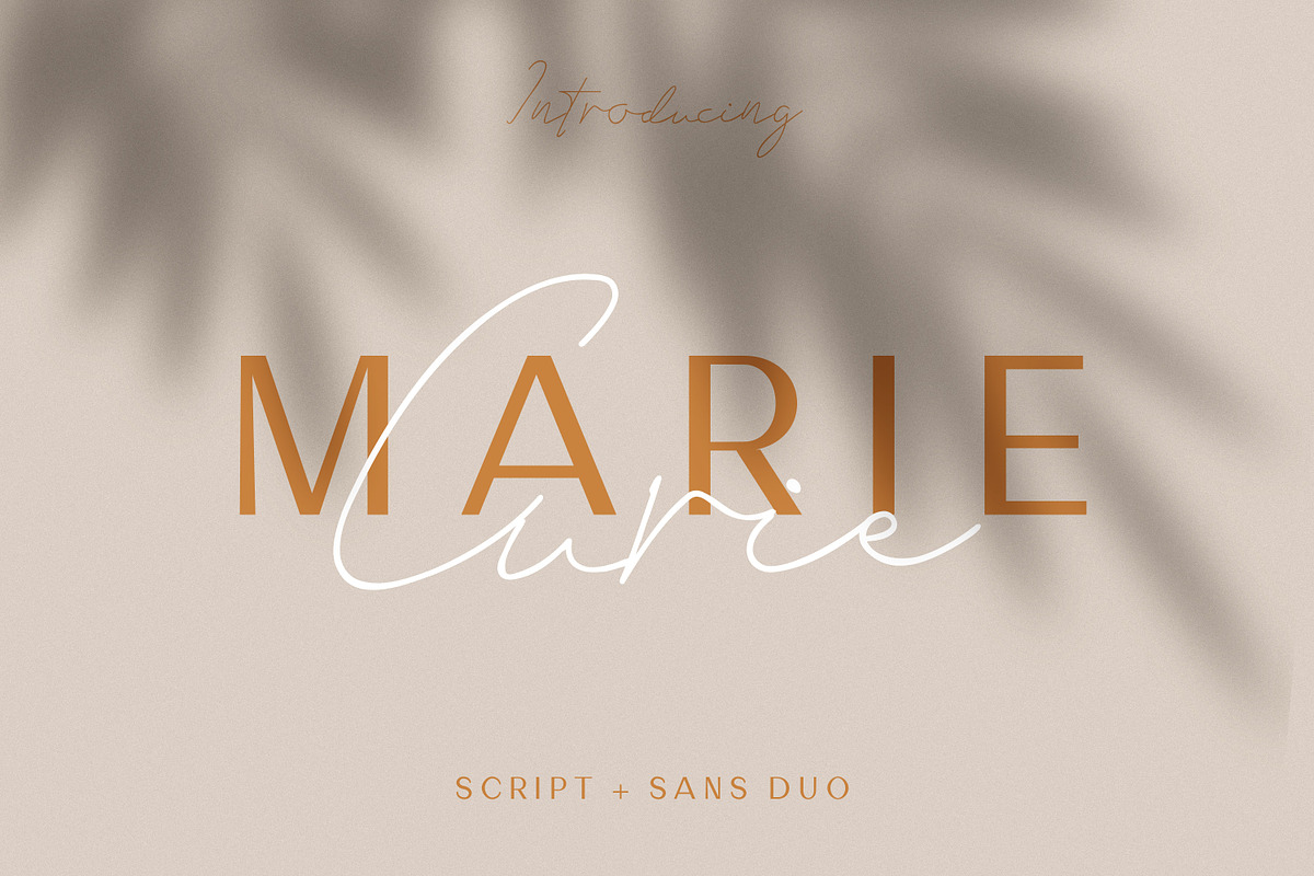 Marie Curie - Sans & Script in Script Fonts - product preview 8