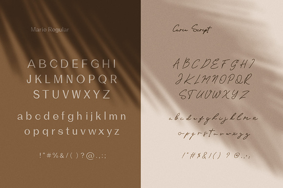Marie Curie - Sans & Script in Script Fonts - product preview 9