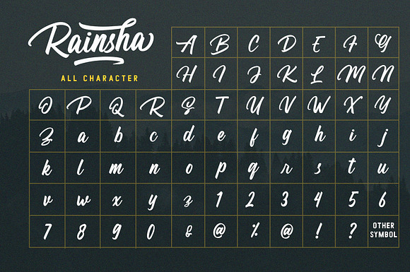 Rainsha | Script Font in Script Fonts - product preview 1