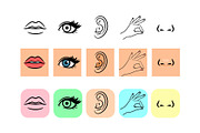 Five senses icons