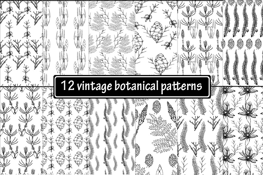 12 vintage b&w botanical patterns in Patterns - product preview 8
