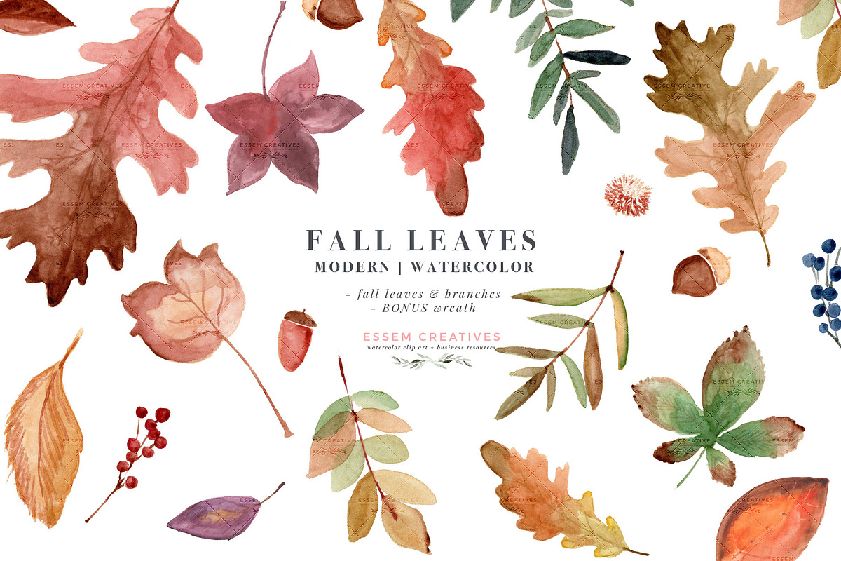 Fall Leaves Watercolor Leaf Clipart in Illustrations - product preview 8