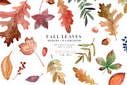 Fall Leaves Watercolor Leaf Clipart