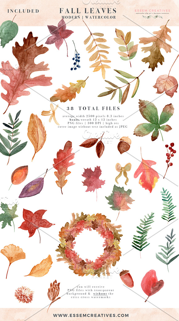 Fall Leaves Watercolor Leaf Clipart in Illustrations - product preview 1