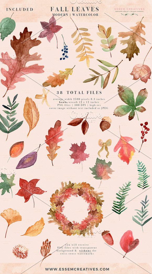 Fall Leaves Watercolor Leaf Clipart in Illustrations - product preview 2