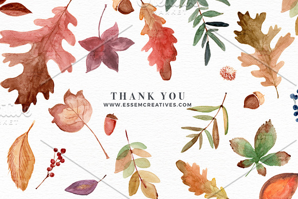 Fall Leaves Watercolor Leaf Clipart in Illustrations - product preview 3