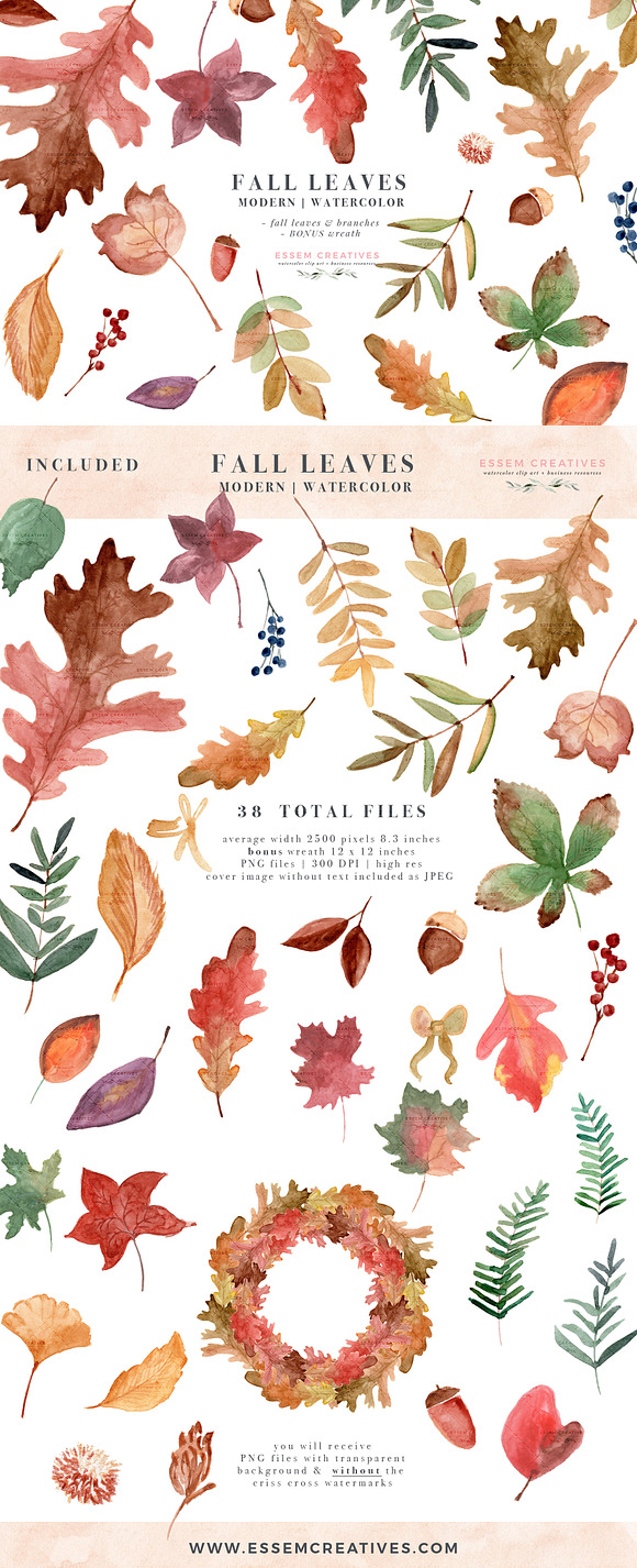 Fall Leaves Watercolor Leaf Clipart in Illustrations - product preview 4