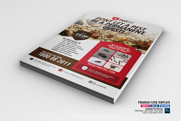 Pest and Insect Control Flyer in Flyer Templates - product preview 1