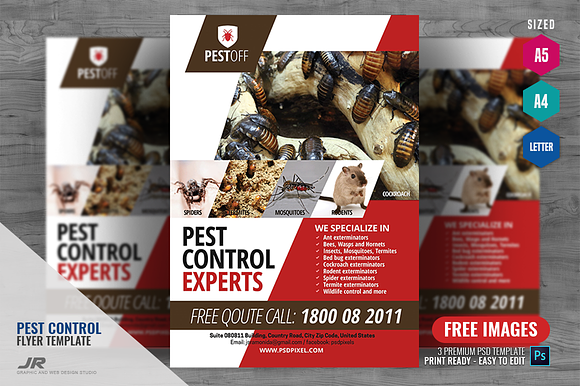 Pest and Insect Control Services in Flyer Templates - product preview 1