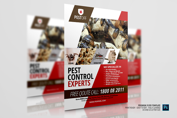 Pest and Insect Control Services in Flyer Templates - product preview 3