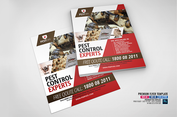 Pest and Insect Control Services in Flyer Templates - product preview 4