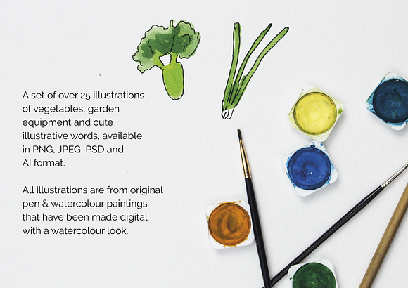 An arty Allotment in Illustrations - product preview 2