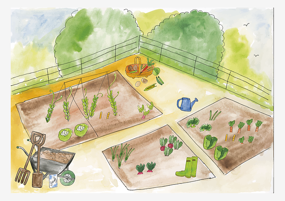 An arty Allotment in Illustrations - product preview 4