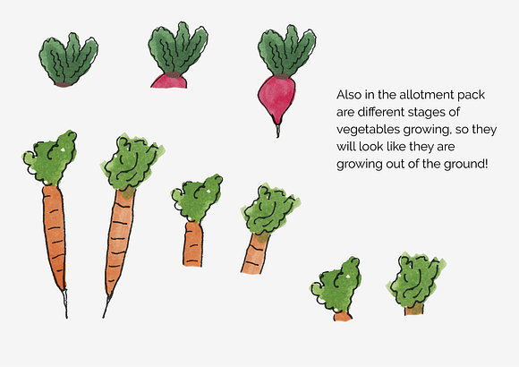 An arty Allotment in Illustrations - product preview 5