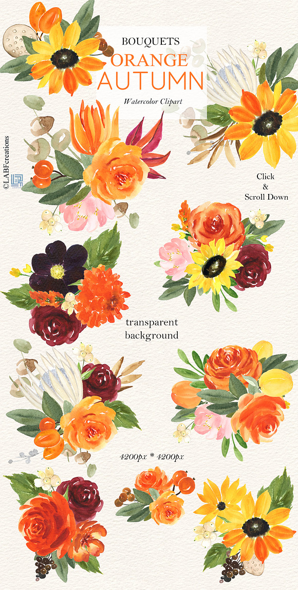 50% OFF Orange Autumn. Watercolor in Illustrations - product preview 1