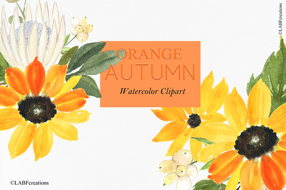 50% OFF Orange Autumn. Watercolor in Illustrations - product preview 4