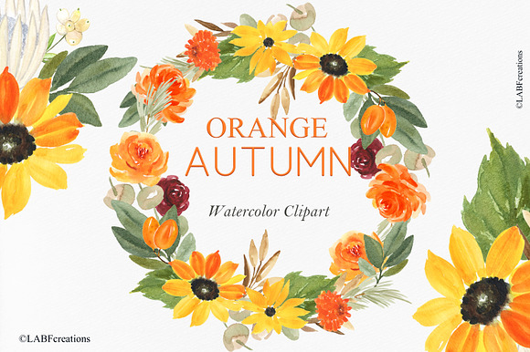 50% OFF Orange Autumn. Watercolor in Illustrations - product preview 7