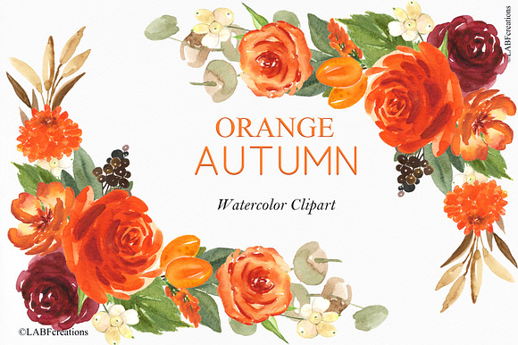 50% OFF Orange Autumn. Watercolor in Illustrations - product preview 8