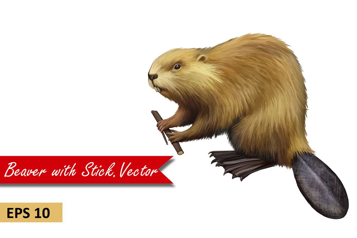 Beaver holding branch. Vector in Objects - product preview 8