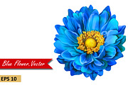 Blue Dahlia Flower. Vector