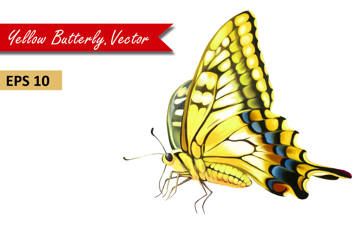 Yellow Butterfly. Vector in Objects - product preview 8